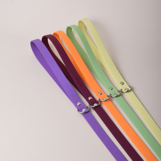 Lesă BASE | Standard