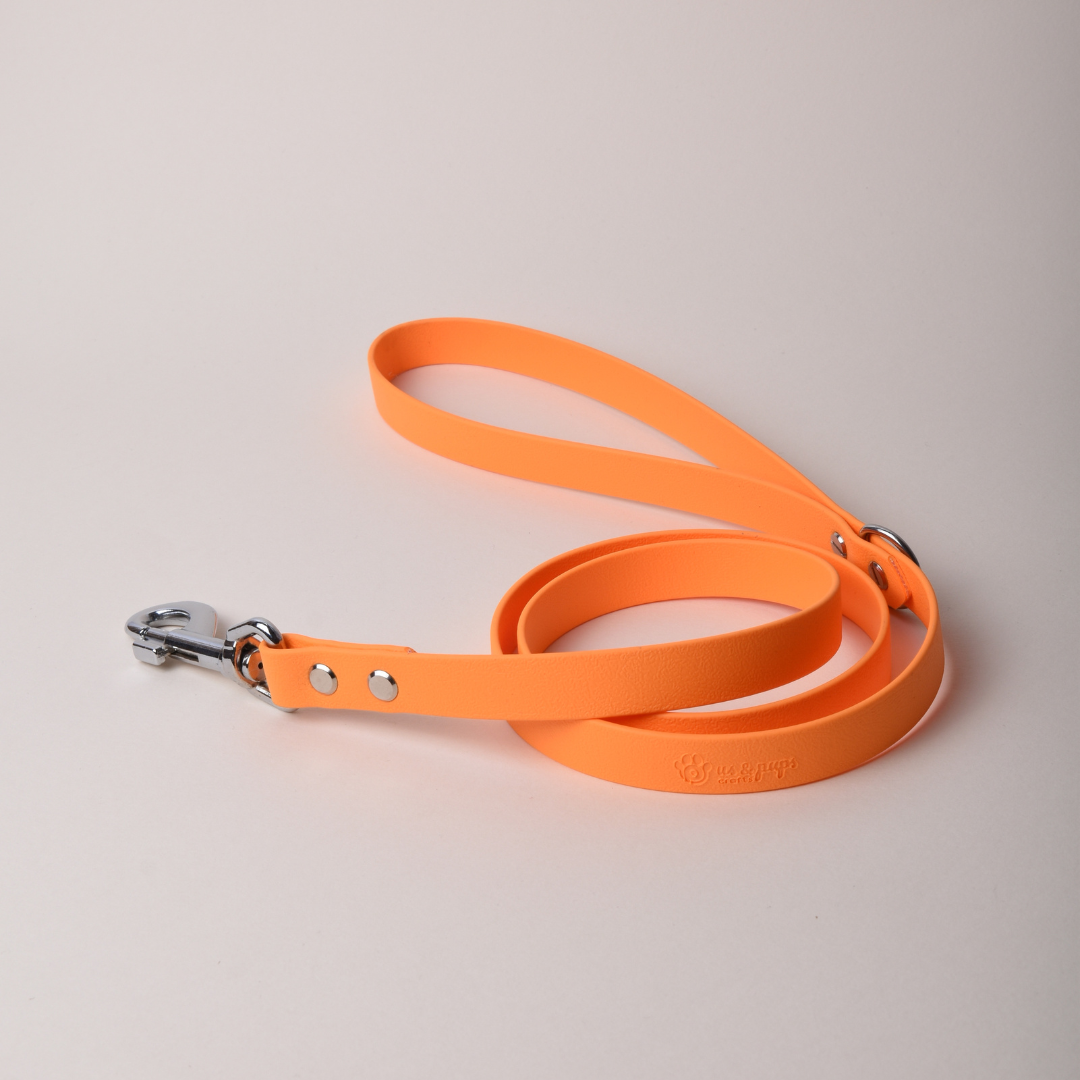 Lesă BASE | Standard