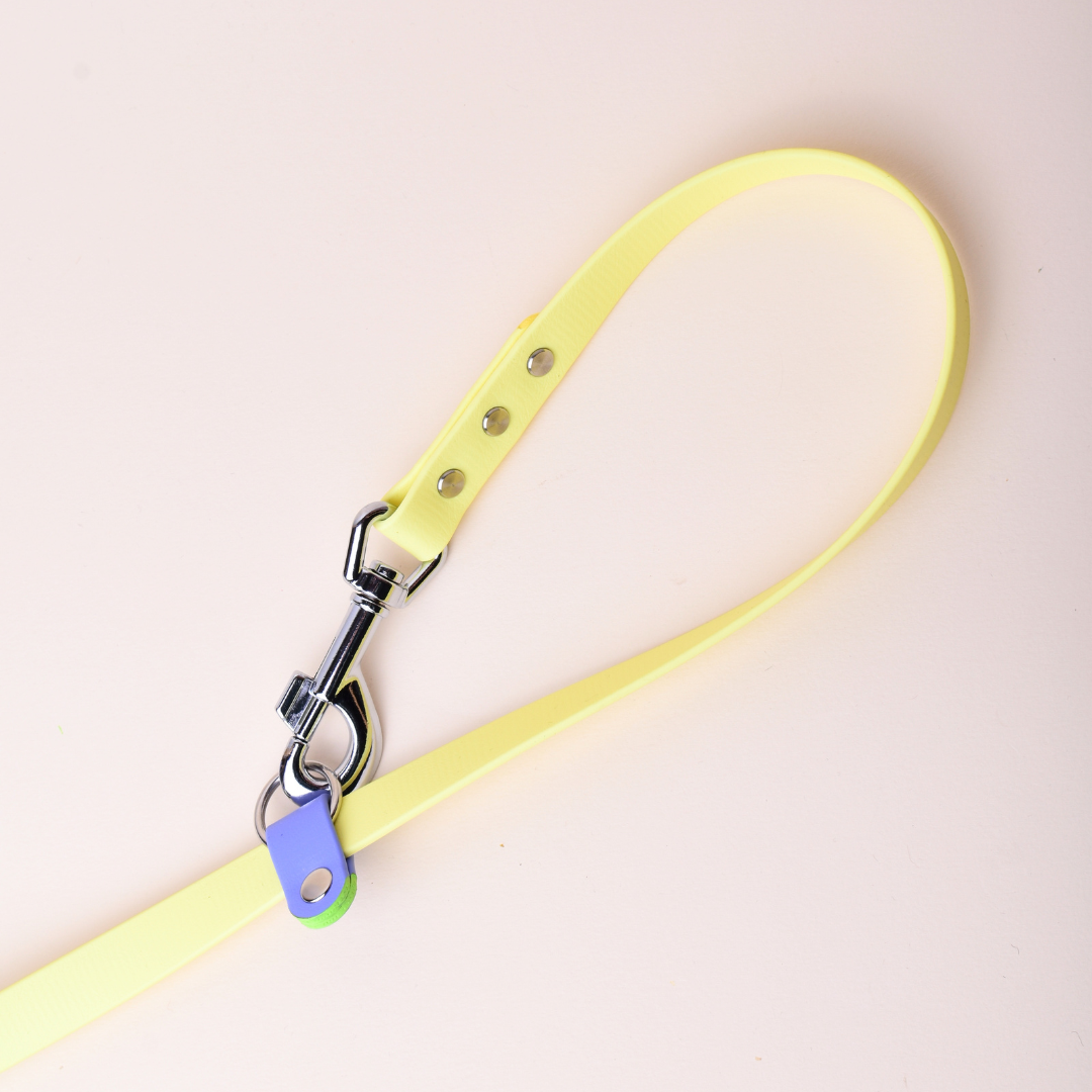 Lesă SPLIT | Hands-free