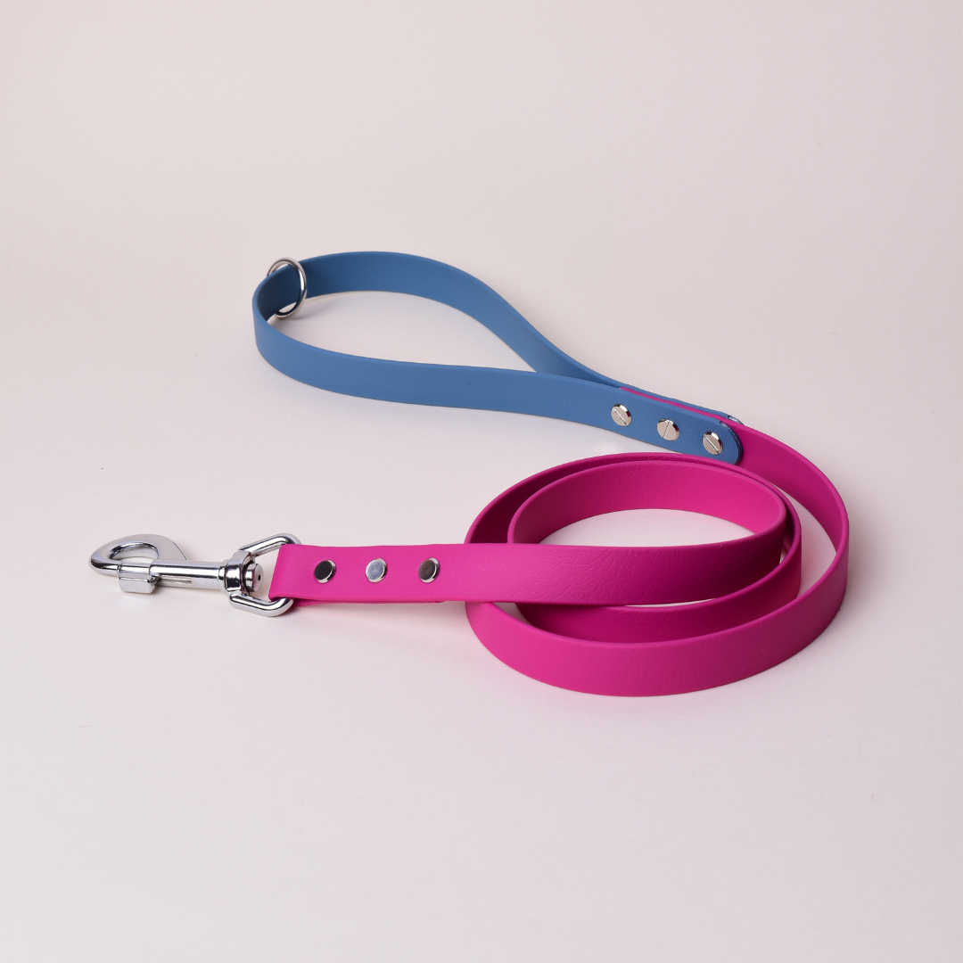 Lesă SPLIT | Standard