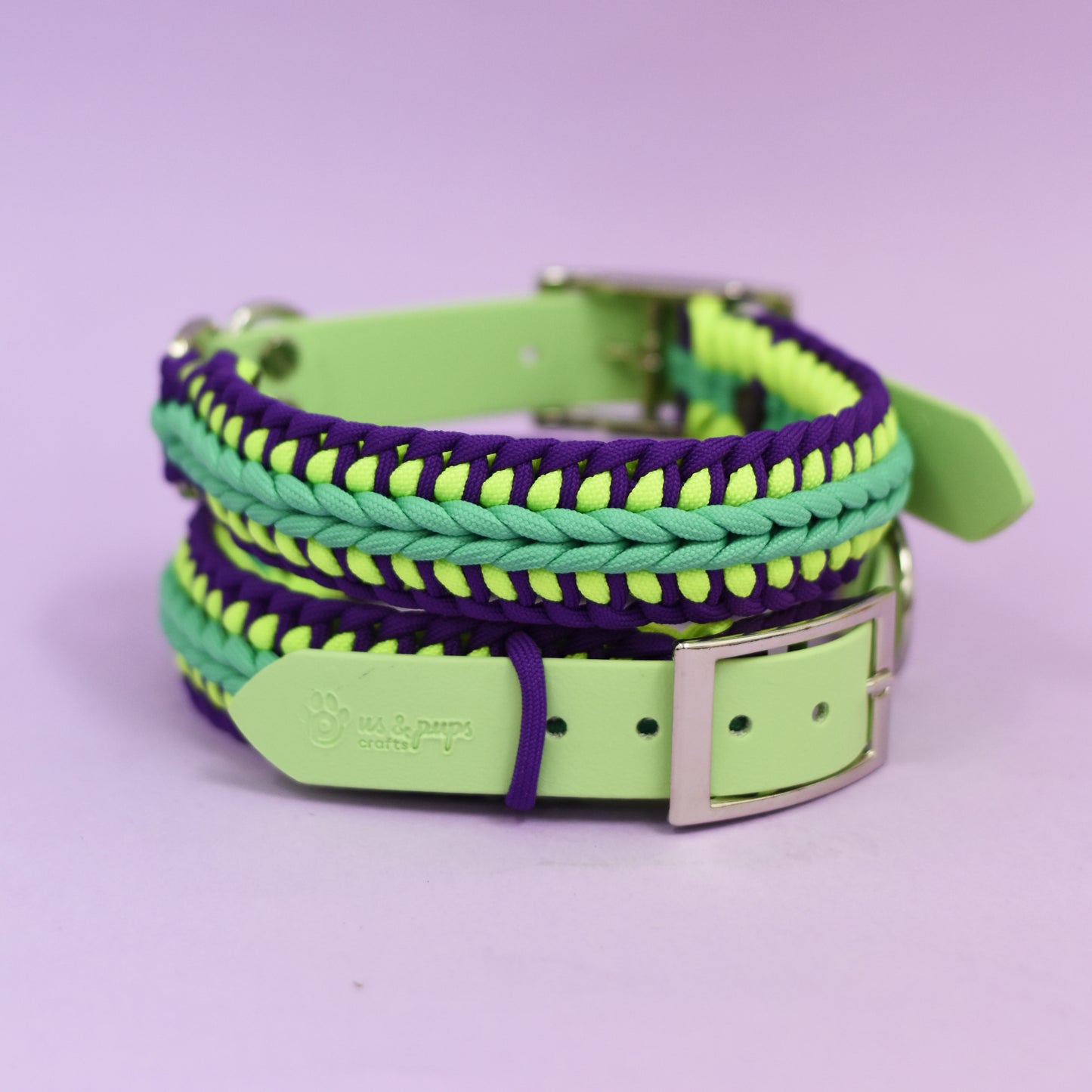 Zgardă Ziggy - 3cm Lățime