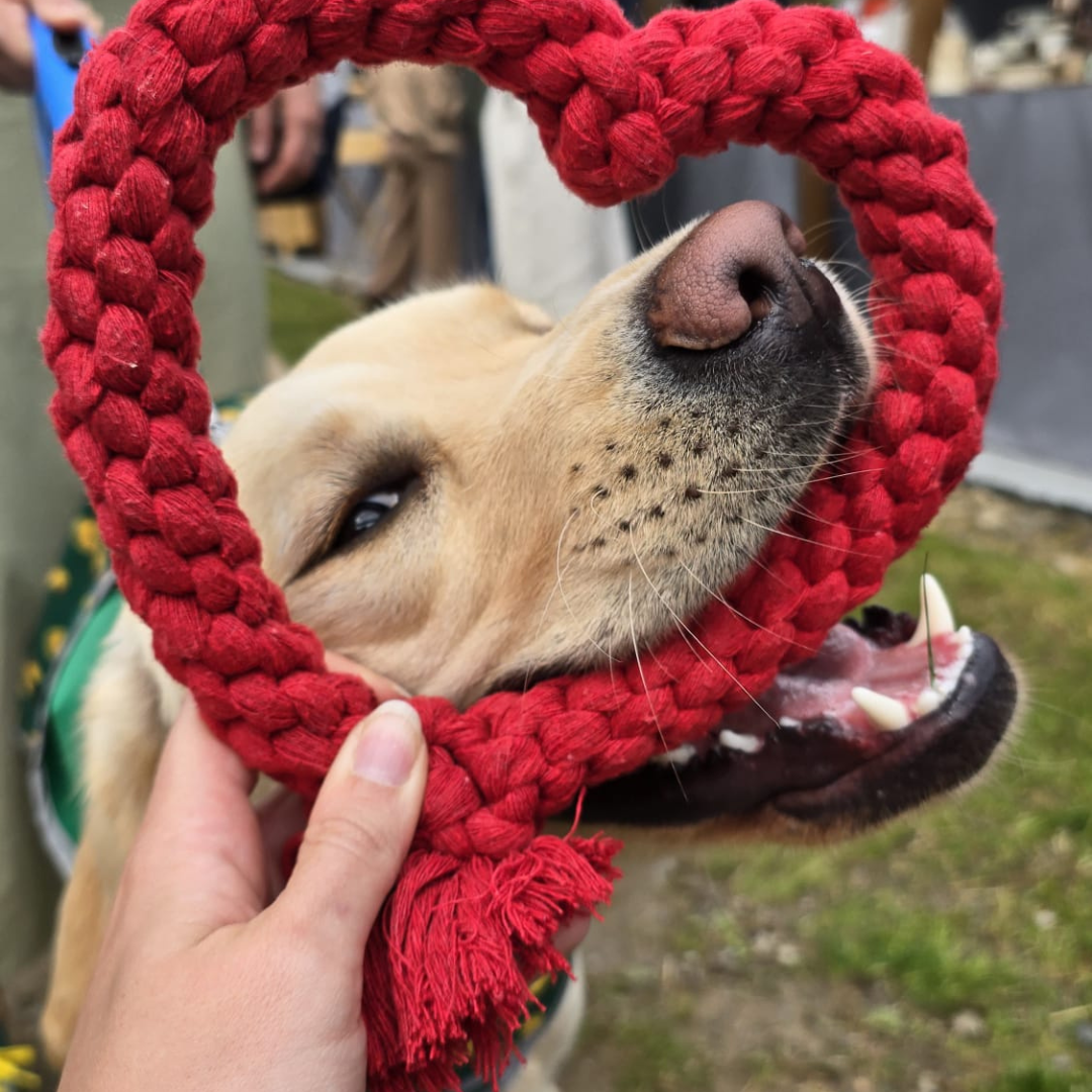 Jucărie din bumbac "MyHeart"