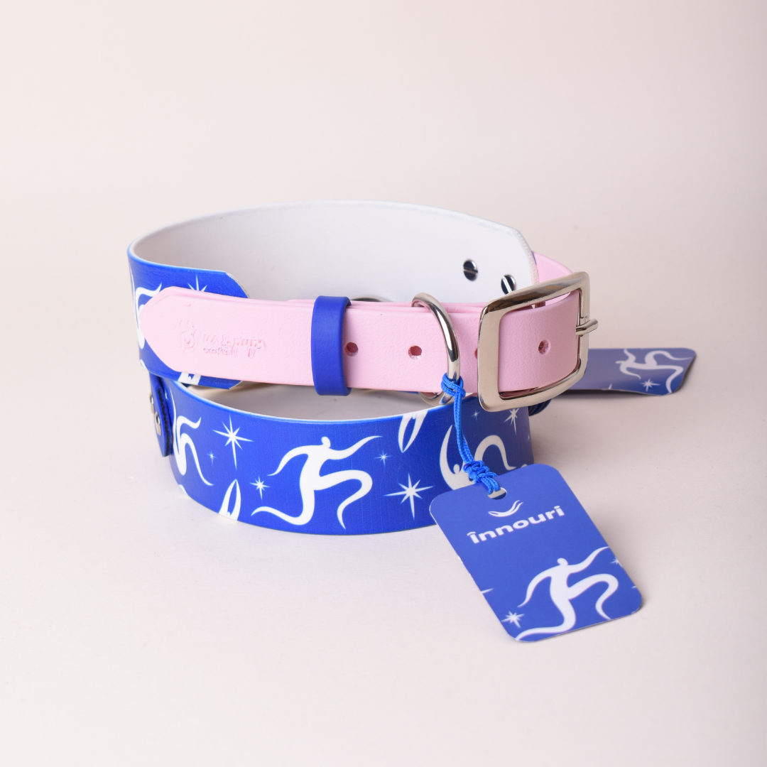 Zgarda SPLIT 2 | Us & Pups x Innouri