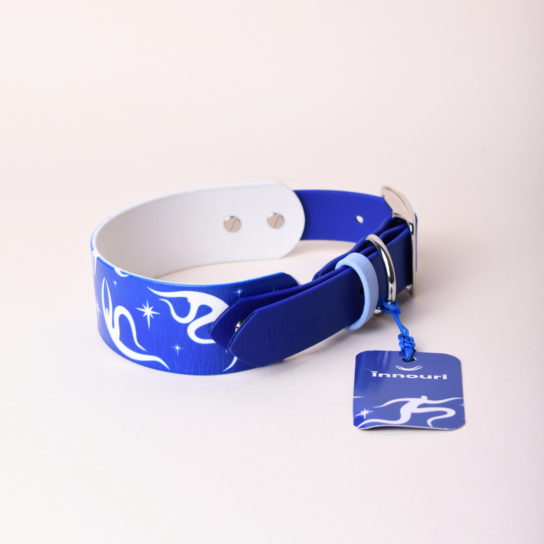 Zgarda SPLIT 2 | Us & Pups x Innouri