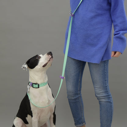 Biothane Classic Leash