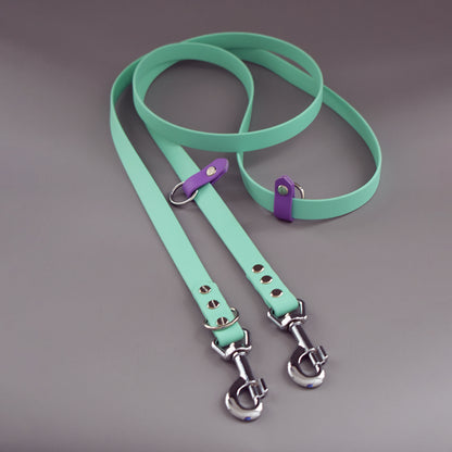 Biothane Classic Leash